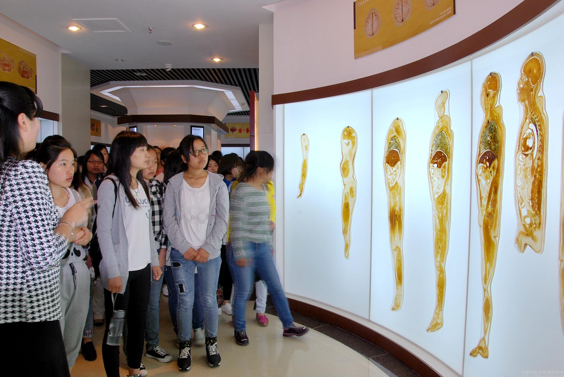 我校举办生命科学馆开放日活动纪念红十字会