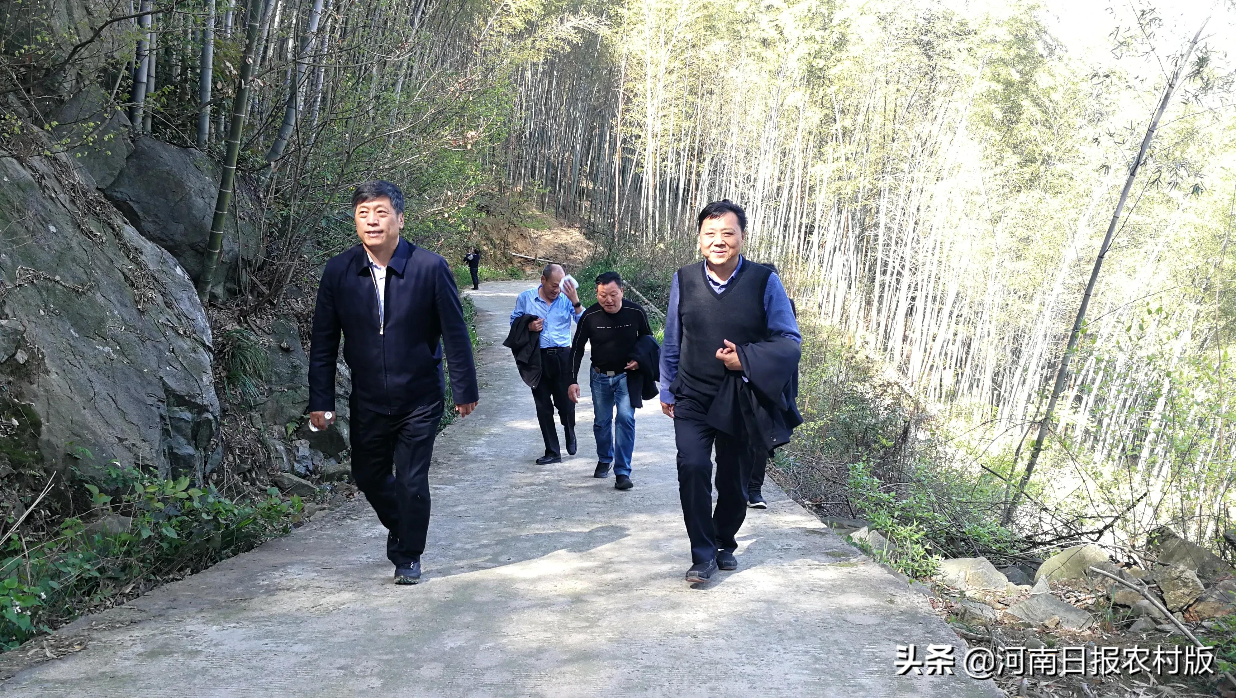 春风送暖到皮冲